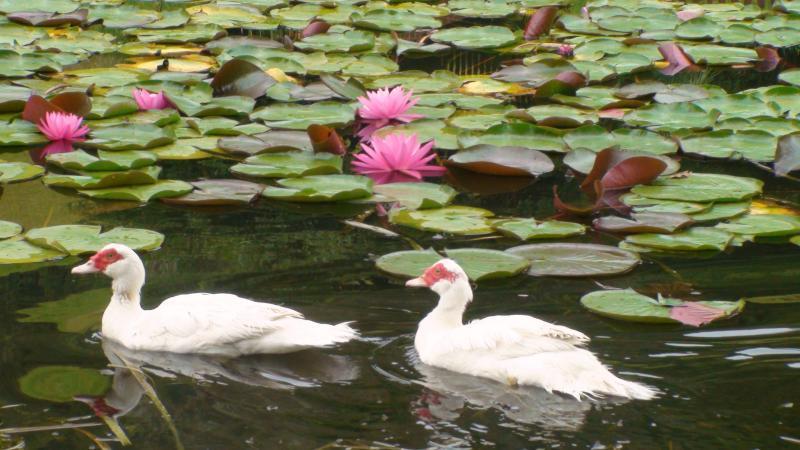 Nirvana Spiritual Retreat Gloucester Eksteriør billede